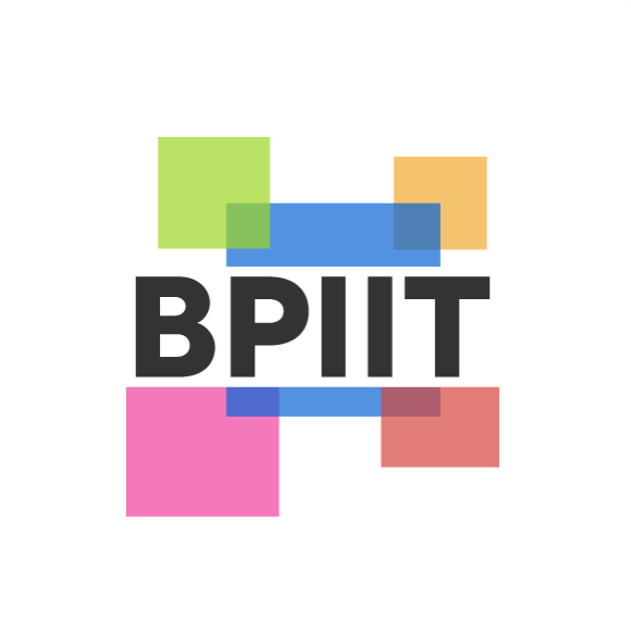 BPIIT Consulting Group